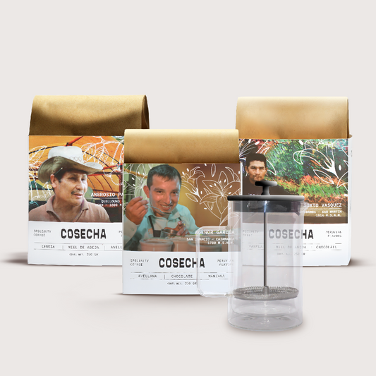 Barista Trilogy - 3 origins + French Press 