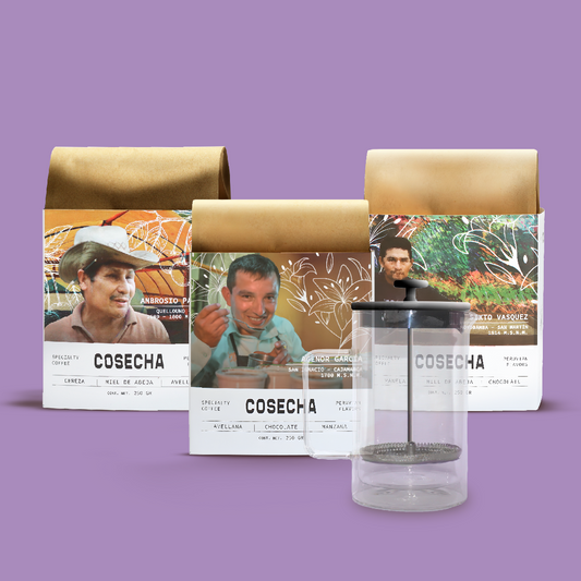 Barista Trilogy - 3 origins + French Press 