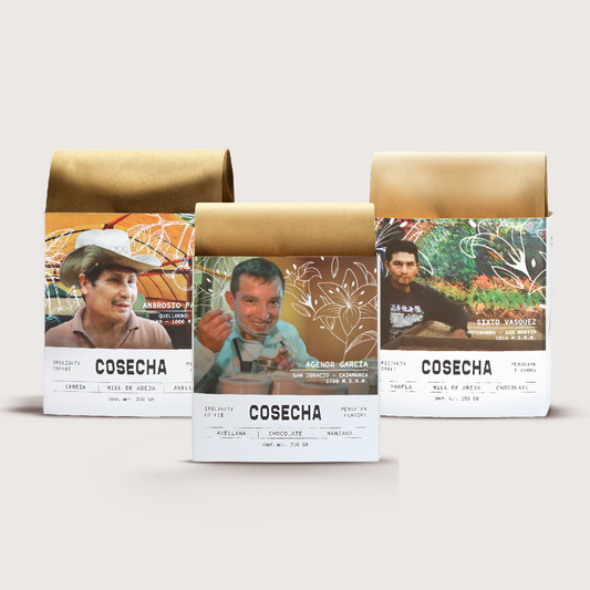 Peruvian Trilogy → Pack of 3 Coffee Bags 