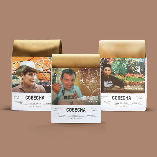 Peruvian Trilogy → Pack of 3 Coffee Bags 